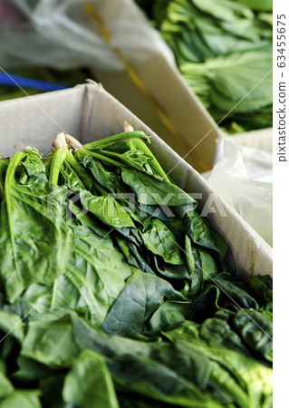 Close-up of Agricultural and Marine Products 069 Close-up of Agricultural and Marine Products 069 63455675