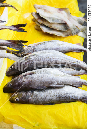 Close-up of Agricultural and Marine Products 168 Close-up of Agricultural and Marine Products 168 63455682