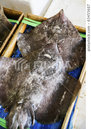 Close-up of Agricultural and Marine Products 161 Close-up of Agricultural and Marine Products 161 63455687