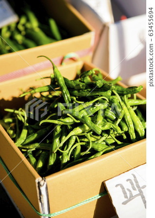 Close-up of Agricultural and Marine Products 049 Close-up of Agricultural and Marine Products 049 63455694