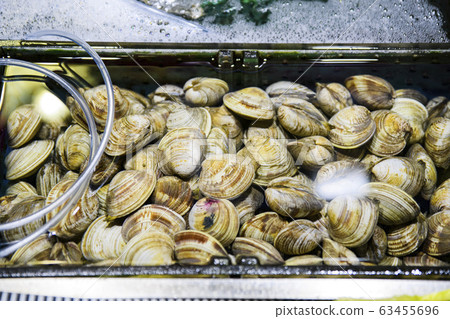 Close-up of Agricultural and Marine Products 192 Close-up of Agricultural and Marine Products 192 63455696