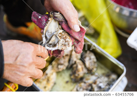 Close-up of Agricultural and Marine Products 209 Close-up of Agricultural and Marine Products 209 63455706