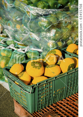 Close-up of Agricultural and Marine Products 030 Close-up of Agricultural and Marine Products 030 63455708