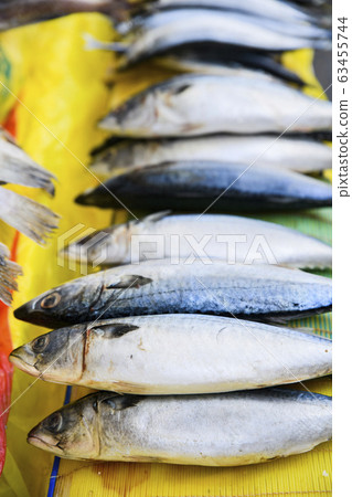 Close-up of Agricultural and Marine Products 130 Close-up of Agricultural and Marine Products 130 63455744