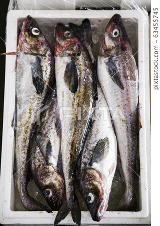 Close-up of Agricultural and Marine Products 186 63455745