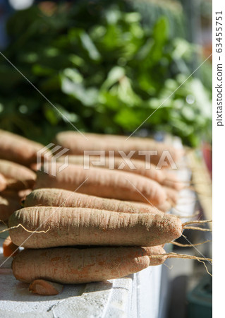 Close-up of Agricultural and Marine Products 358 Close-up of Agricultural and Marine Products 358 63455751