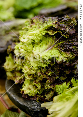 Close-up of Agricultural and Marine Products 098 Close-up of Agricultural and Marine Products 098 63455758