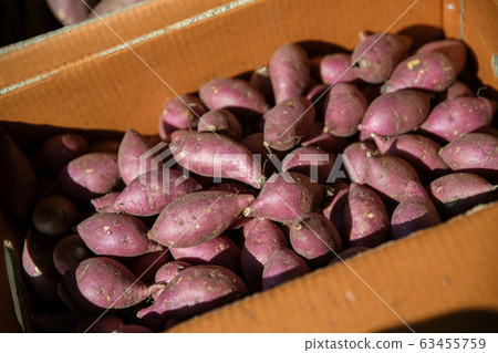Close-up of Agricultural and Marine Products 351 Close-up of Agricultural and Marine Products 351 63455759