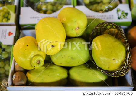 Close-up of Agricultural and Marine Products 506 Close-up of Agricultural and Marine Products 506 63455760