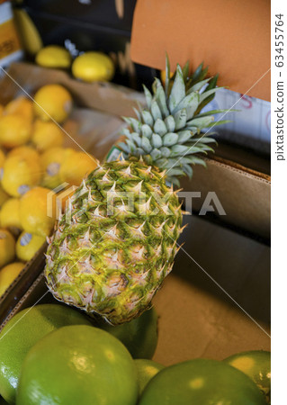 Close-up of Agricultural and Marine Products 505 63455764