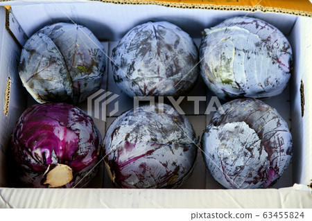 Close-up of Agricultural and Marine Products 062 Close-up of Agricultural and Marine Products 062 63455824