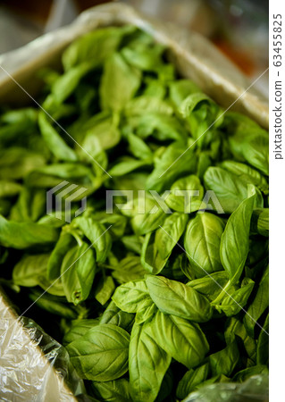 Close-up of Agricultural and Marine Products 061 Close-up of Agricultural and Marine Products 061 63455825