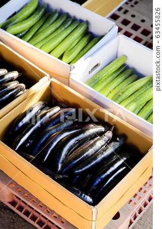Close-up of Agricultural and Marine Products 059 Close-up of Agricultural and Marine Products 059 63455826
