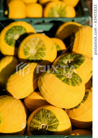 Close-up of Agricultural and Marine Products 031 63455833