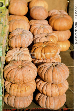 Close-up of Agricultural and Marine Products 022 Close-up of Agricultural and Marine Products 022 63455838