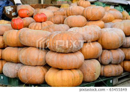 Close-up of Agricultural and Marine Products 027 Close-up of Agricultural and Marine Products 027 63455849