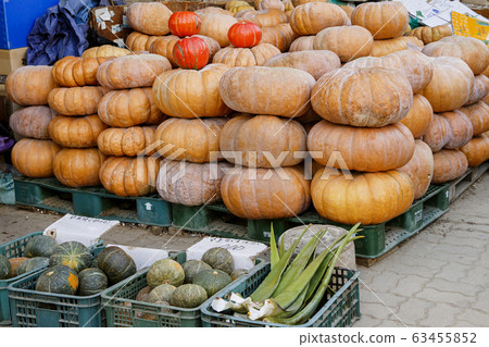 Close-up of Agricultural and Marine Products 019 Close-up of Agricultural and Marine Products 019 63455852