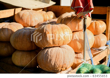 Close-up of Agricultural and Marine Products 020 Close-up of Agricultural and Marine Products 020 63455853