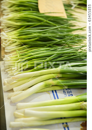 Close-up of Agricultural and Marine Products 397 Close-up of Agricultural and Marine Products 397 63455855