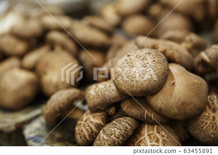 Close-up of Agricultural and Marine Products 316 Close-up of Agricultural and Marine Products 316 63455891