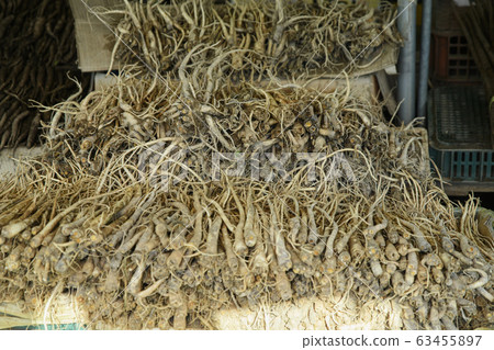 Close-up of Agricultural and Marine Products 259 Close-up of Agricultural and Marine Products 259 63455897