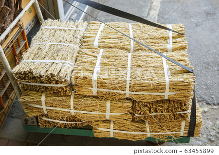Close-up of Agricultural and Marine Products 257 Close-up of Agricultural and Marine Products 257 63455899