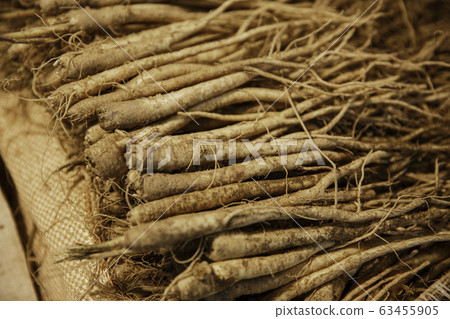Close-up of Agricultural and Marine Products 252 Close-up of Agricultural and Marine Products 252 63455905