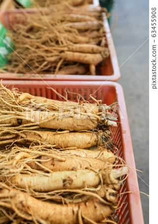 Close-up of Agricultural and Marine Products 263 Close-up of Agricultural and Marine Products 263 63455908