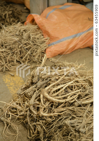 Close-up of Agricultural and Marine Products 268 Close-up of Agricultural and Marine Products 268 63455909