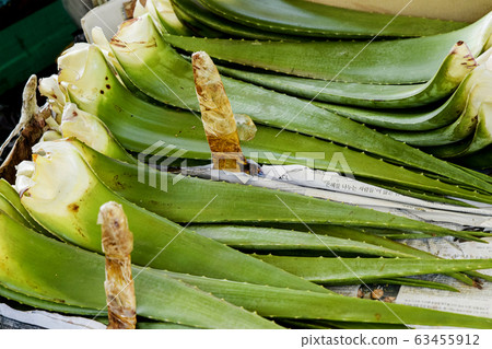 Close-up of Agricultural and Marine Products 101 Close-up of Agricultural and Marine Products 101 63455912