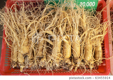 Close-up of Agricultural and Marine Products 262 Close-up of Agricultural and Marine Products 262 63455914