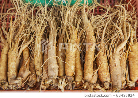 Close-up of Agricultural and Marine Products 255 Close-up of Agricultural and Marine Products 255 63455924
