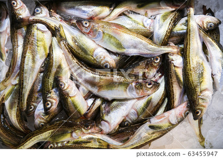 Close-up of Agricultural and Marine Products 184 Close-up of Agricultural and Marine Products 184 63455947