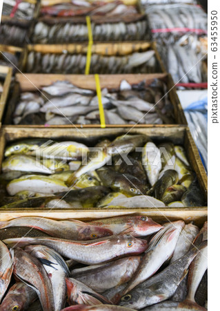 Close-up of Agricultural and Marine Products 181 63455950