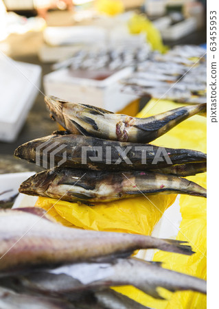 Close-up of Agricultural and Marine Products 170 Close-up of Agricultural and Marine Products 170 63455953