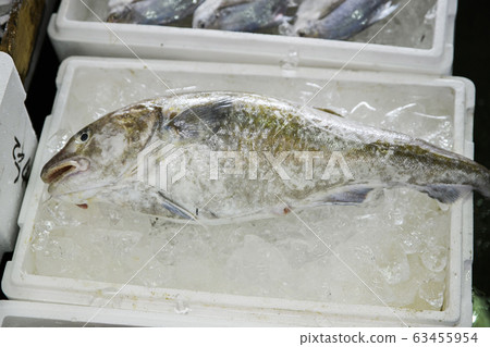 Close-up of Agricultural and Marine Products 185 Close-up of Agricultural and Marine Products 185 63455954
