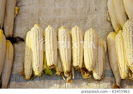 Close-up of Agricultural and Marine Products 002 Close-up of Agricultural and Marine Products 002 63455963