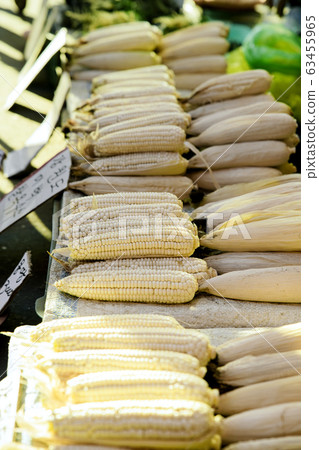 Close-up of Agricultural and Marine Products 003 Close-up of Agricultural and Marine Products 003 63455965