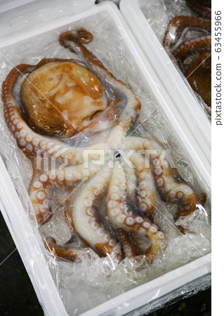 Close-up of Agricultural and Marine Products 150 Close-up of Agricultural and Marine Products 150 63455966