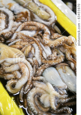 Close-up of Agricultural and Marine Products 149 63455970