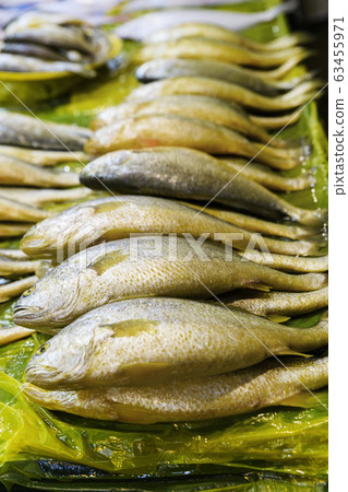 Close-up of Agricultural and Marine Products 141 Close-up of Agricultural and Marine Products 141 63455971