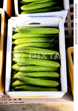 Close-up of Agricultural and Marine Products 068 Close-up of Agricultural and Marine Products 068 63455998