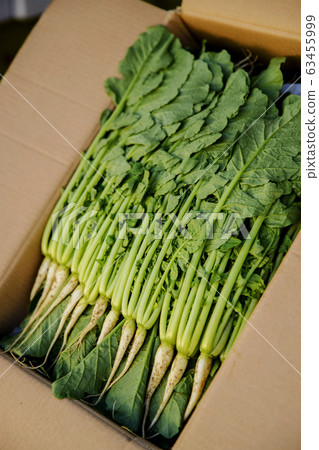 Close-up of Agricultural and Marine Products 064 Close-up of Agricultural and Marine Products 064 63455999