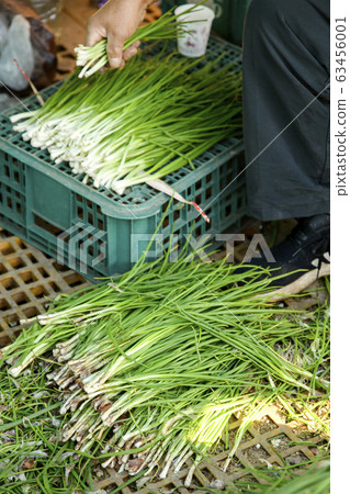 Close-up of Agricultural and Marine Products 050 Close-up of Agricultural and Marine Products 050 63456001