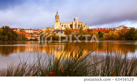 Salamanca Cathedral from River in autumn 63456529