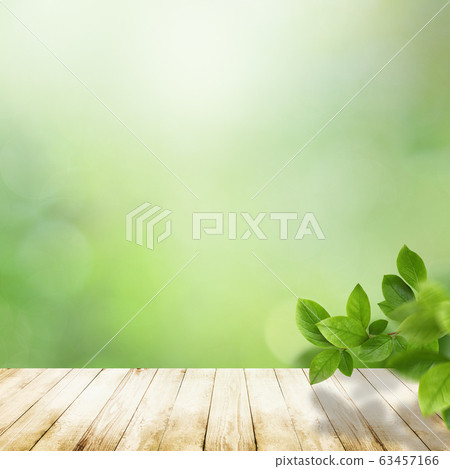 Background-natural-leaves-wooddeck-green-spring-earlysummer-summer Background-natural-leaves-wooddeck-green-spring-earlysummer-summer 63457166