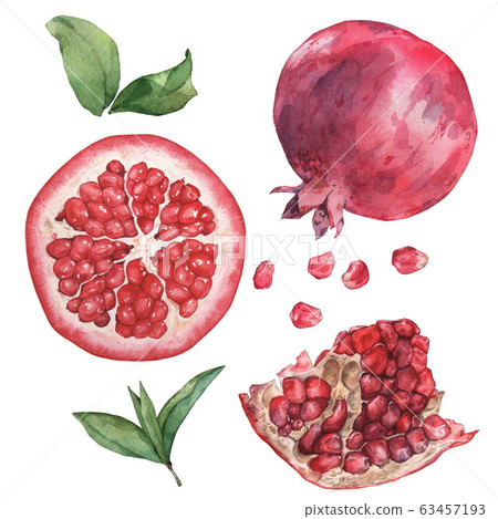 Beautiful watercolor set with fruits pomegranate. Isolated on white. Hand drawing Beautiful watercolor set with fruits pomegranate. Isolated on white. Hand drawing 63457193