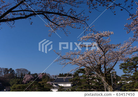 福島縣日本松城堡和櫻花 63457450