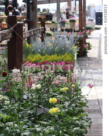 Flower shop Flower shop 63458013