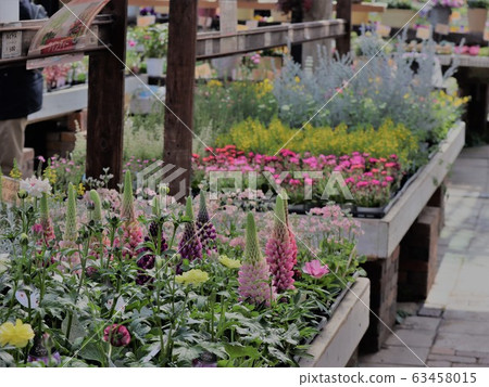 Flower shop Flower shop 63458015